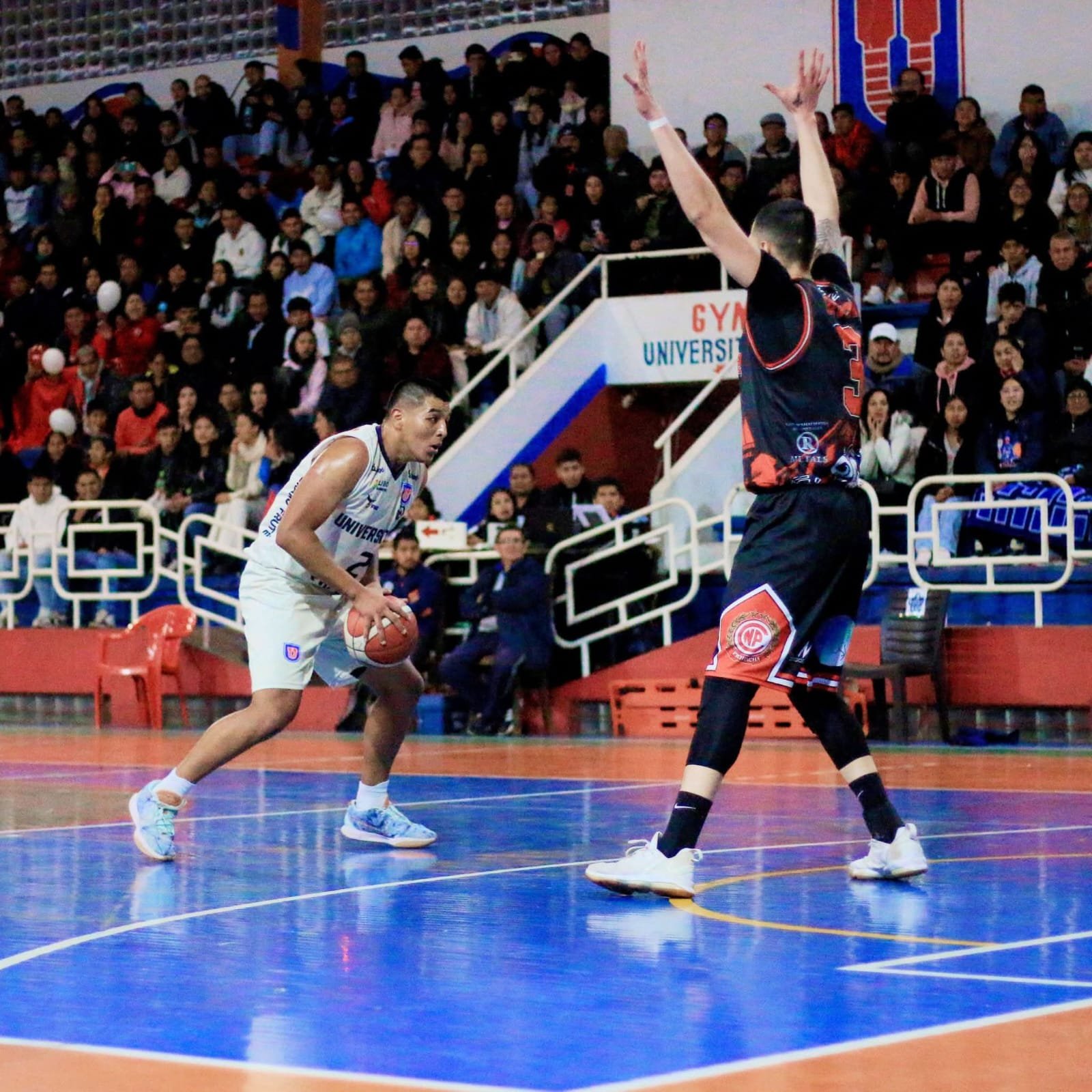 Victoria Clave en Casa: Universitario doblega a Pichincha en un vibrante duelo de la Libobasquet